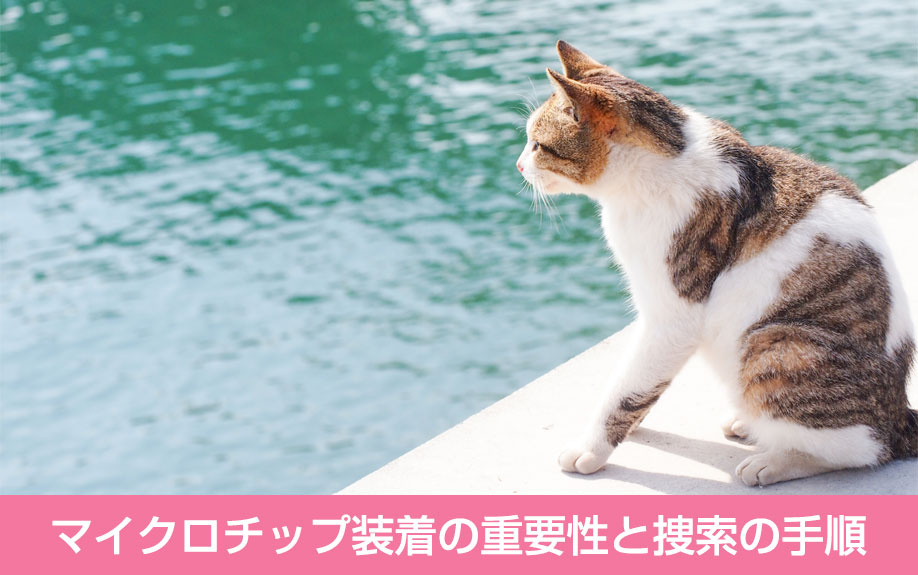 マイクロチップ装着の重要性と捜索の手順