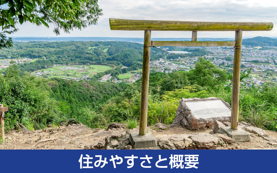 日高市の住みやすさと概要