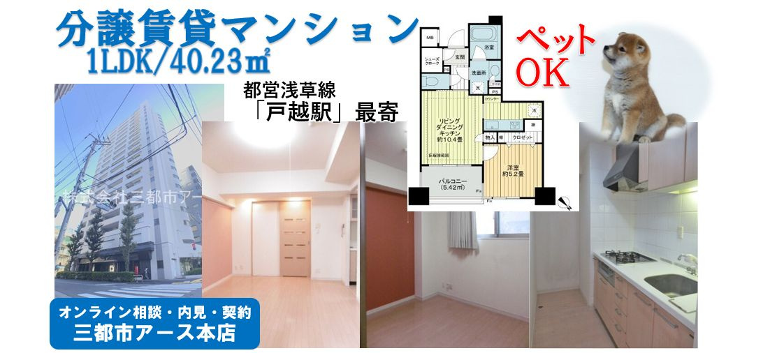 【ライオンズ タワー五反田】1LDK・分譲賃貸マンション・ペット可・戸越銀座・戸越駅・都営浅草線