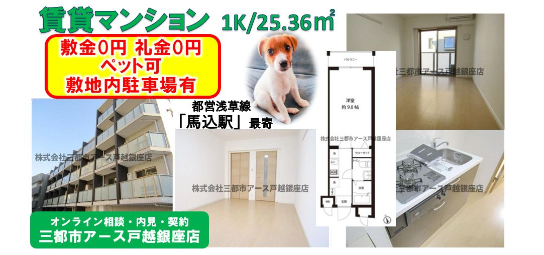 【レオーネ馬込】敷礼0円・ペット可・賃貸マンション・広めの1K・1人暮らし・2人入居可・都営浅草線・馬込駅