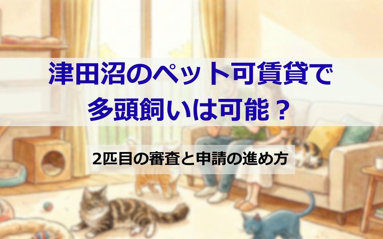 津田沼の賃貸でのペット可で多頭飼いは可能?2匹目の審査と申請の進め方