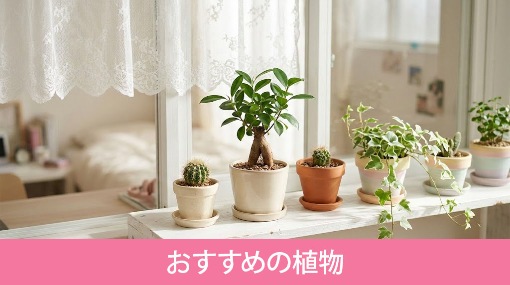 初心者でも育てやすい一人暮らしにおすすめの植物