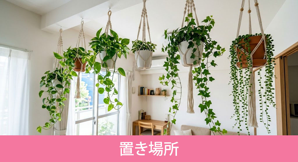 狭い部屋でも映える観葉植物の置き場所