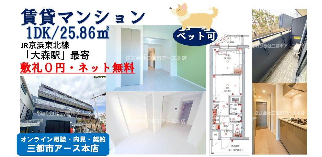 【ハーモニーレジデンス大森山王THEGARDEN】敷礼0円・ネット無料・ペット可・賃貸マンション・1DK・JR京浜東北線・大森駅