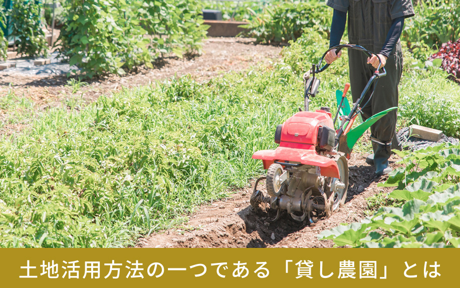土地活用方法の一つである「貸し農園」とは