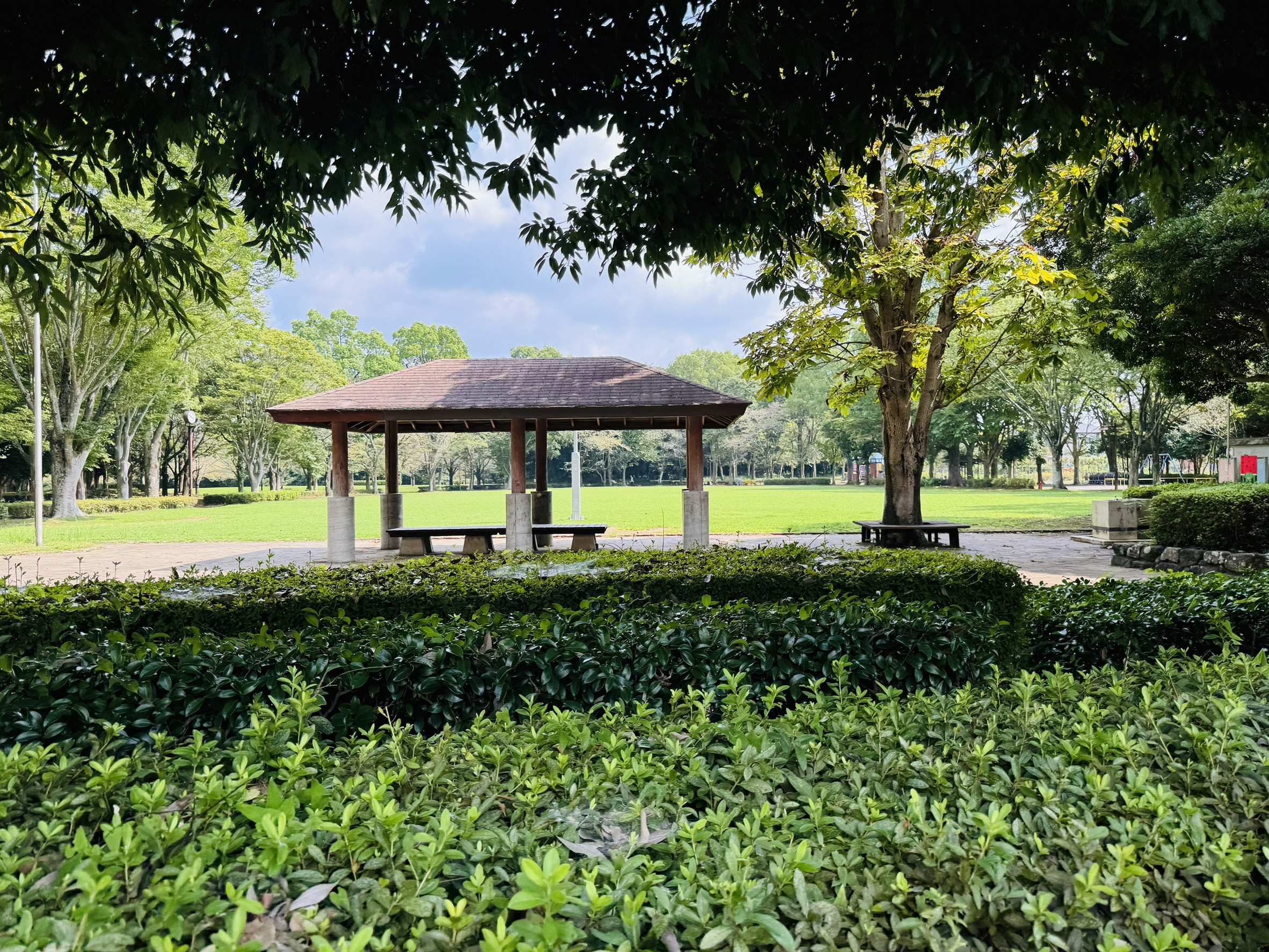 富里中央公園