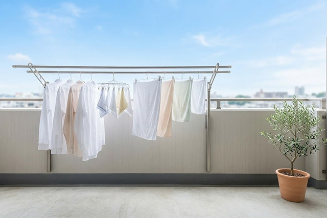 発生した苔を効果的に落とす掃除方法