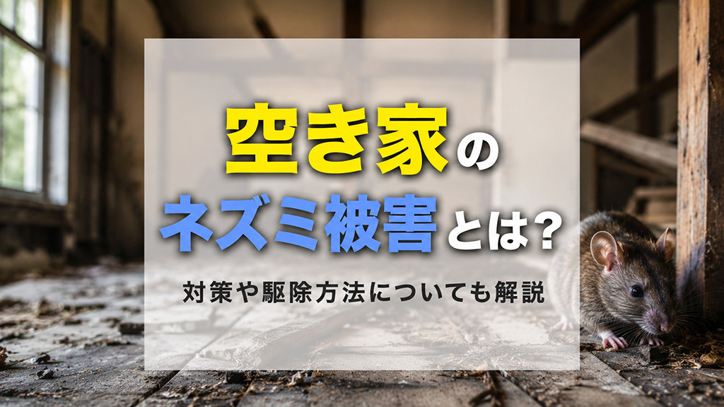 空き家のネズミ被害とは?対策や駆除方法についても解説