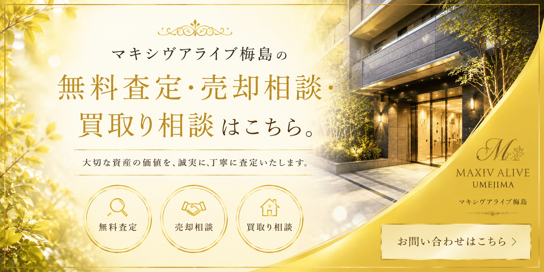 マキシヴアライブ梅島