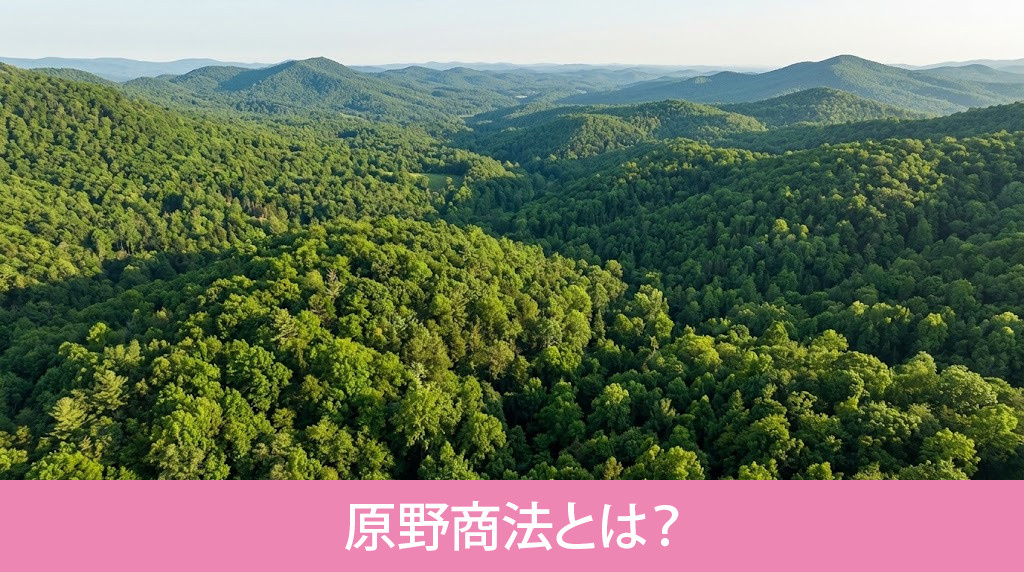 原野商法とは?