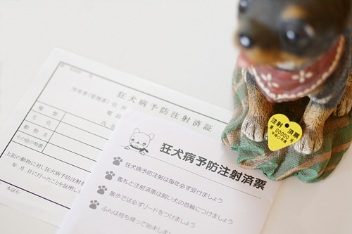 豊島区 賃貸 狂犬病予防注射済票