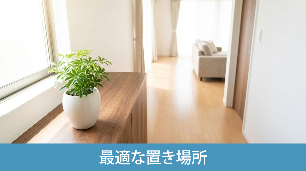 部屋別にみる観葉植物の最適な置き場所