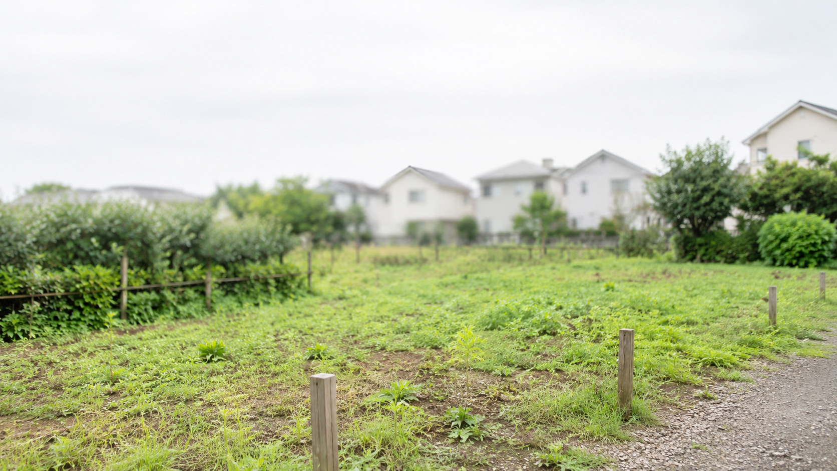 所有者不明土地を買いたいときは?購入手続きや注意点についても解説