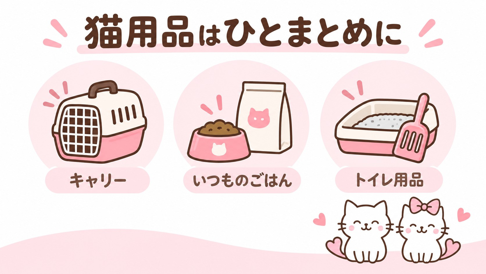 キャリー、ごはん、トイレ用品の持ち物チェック