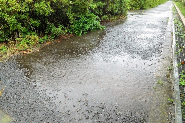【大雨予報が出たら何をすべき?】まとめ