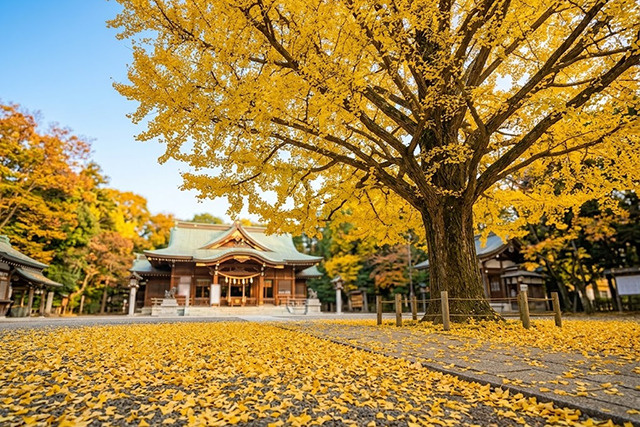 「白山神社」の境内