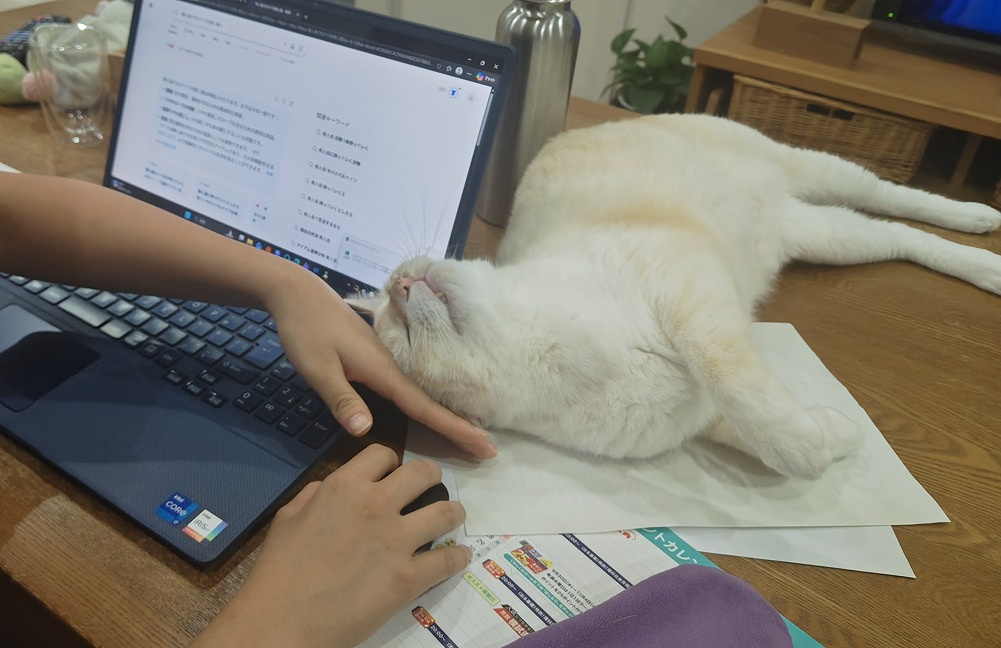 5枚目:(マウスを持つ手にすりすり)マウスを握る手や腕に頭を力いっぱい押し付けて、気持ちよさそうにスリスリしている白い猫の写真