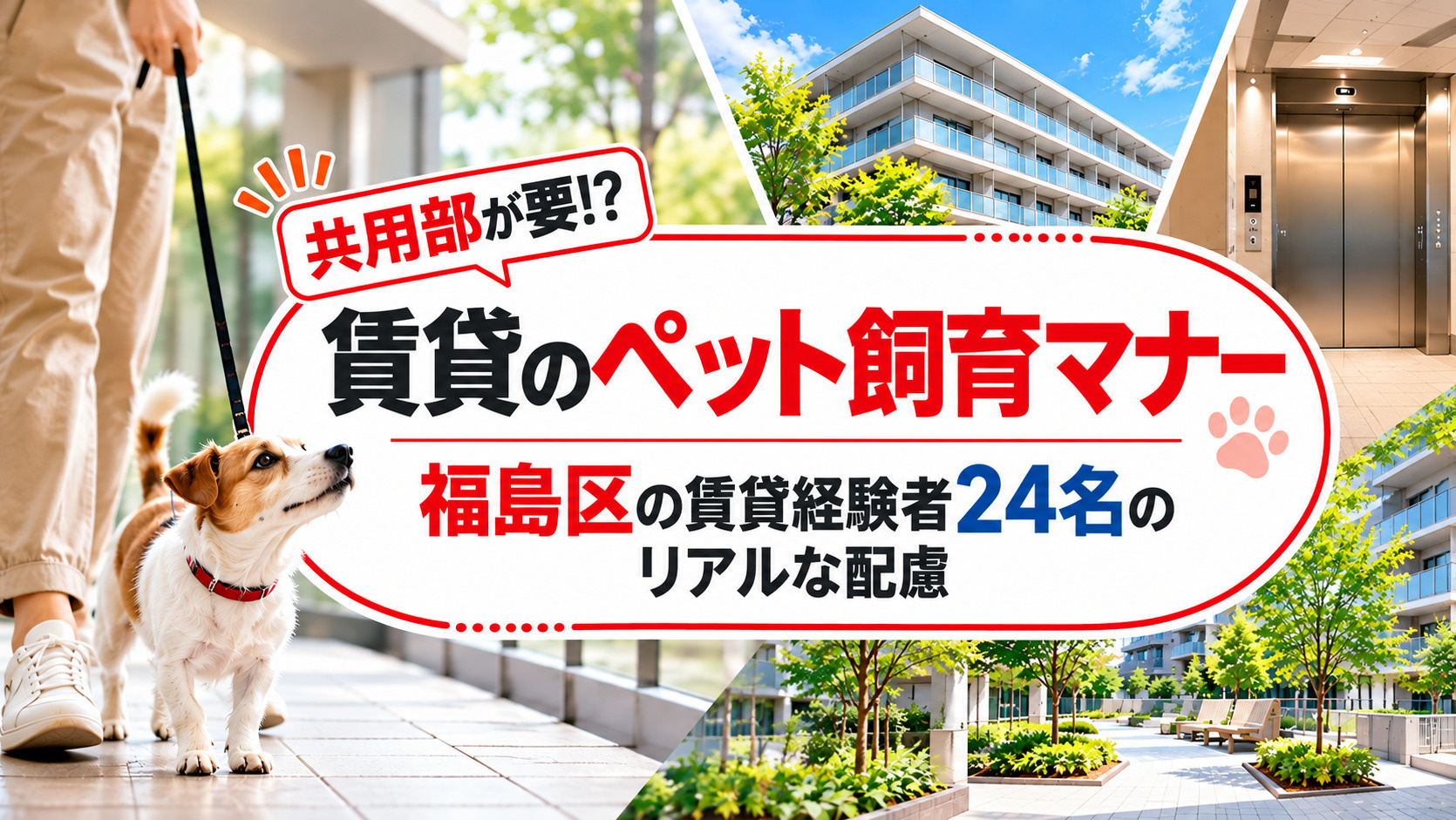 賃貸のペット飼育マナーは共用部が要?|福島区の賃貸経験者24名に聞いたリアルな配慮