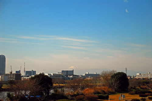 武蔵新田駅近くを流れる多摩川