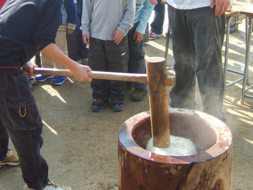 一戸建てでの生活に嬉しい町内会のイベント