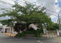 保育園 宝塚さくら保育園