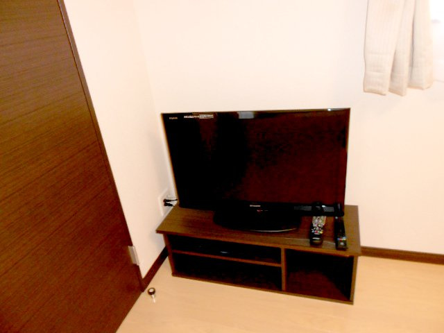 レオネクストカーサのその他
