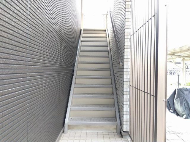 ミランダ錦城のその他