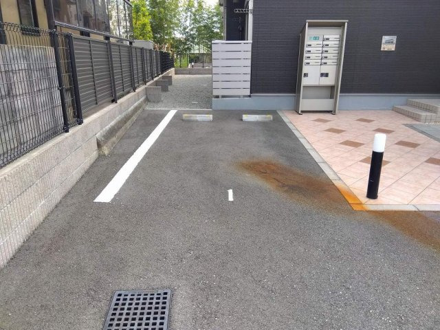 ミランダ錦城のその他