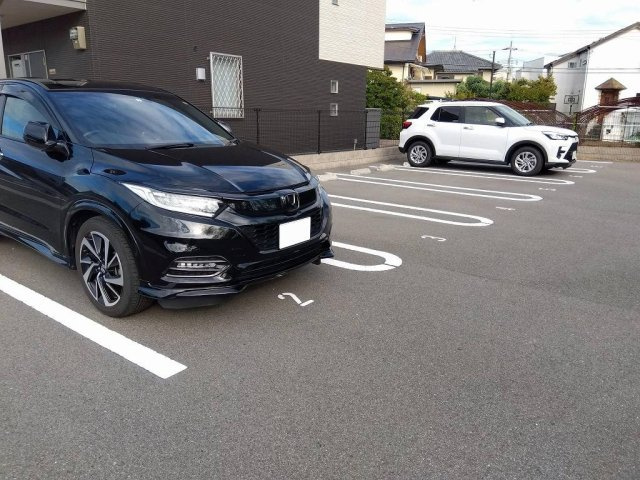 ミランダ錦城のその他