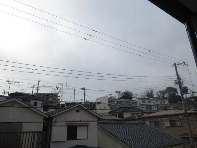 レオネクストカーサの展望