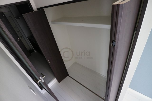 コートベルフラワーの収納