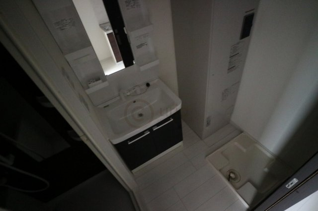 コートベルフラワーの洗面所