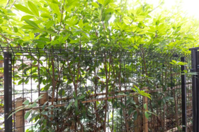 【展望】 | ジオエント大塚