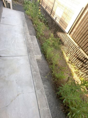 【庭】 | コート宮ノ下