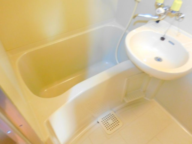 アクセスの浴室