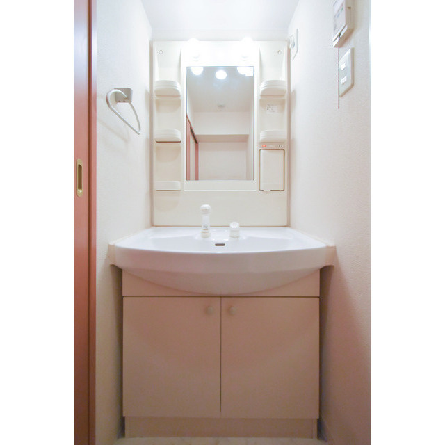 ウィスタリア京橋の洗面所