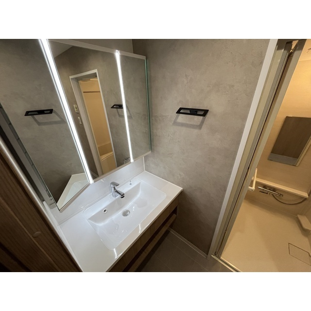 ルネパルティーレ汐留の洗面所