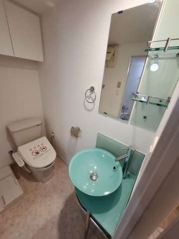 セレニテ甲子園Iの洗面所