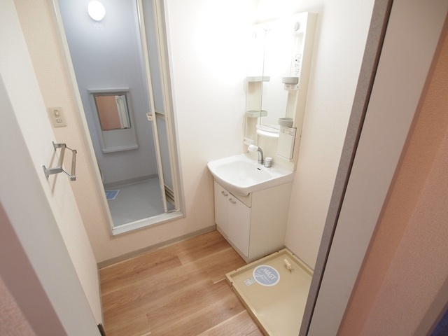 コスモス結崎Ａの洗面所