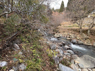 【その他】 | 宍粟市千種町　居ぬき渓流釣り旅館