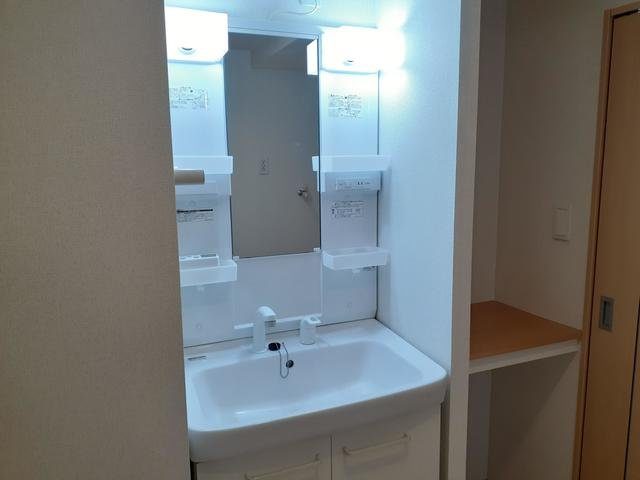 トゥインクル城南　Ａの洗面所