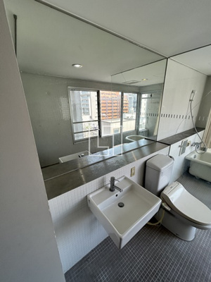 【洗面所】 | レキシントン・スクエア北堀江 | レキシントン・スクエア北堀江　独立洗面化粧台