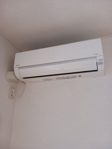 アルフィーノはるＣのその他