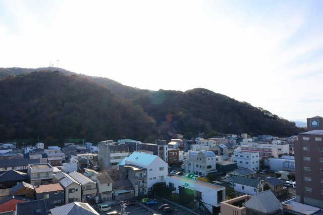 アルファステイツ佐古一番町の展望|眉山を眺めることができます。