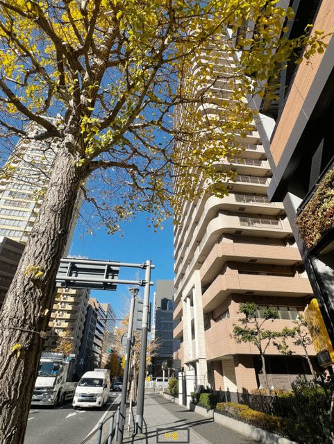 エクステ山下公園クレイドルタワ－の外観