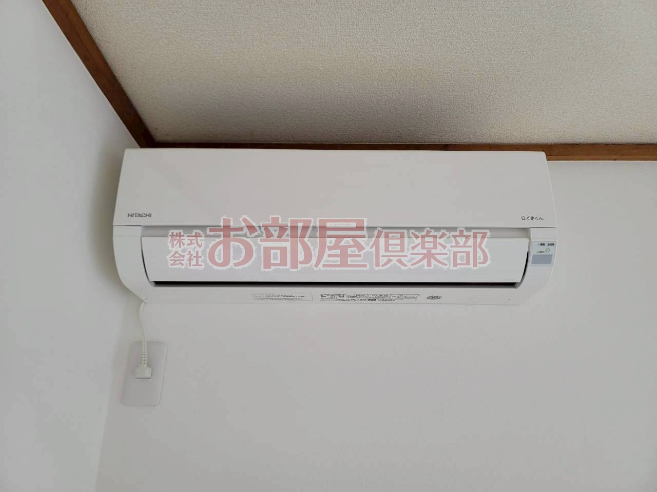 フォレストのその他