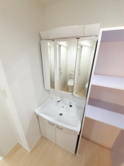 独立洗面化粧台が付いています