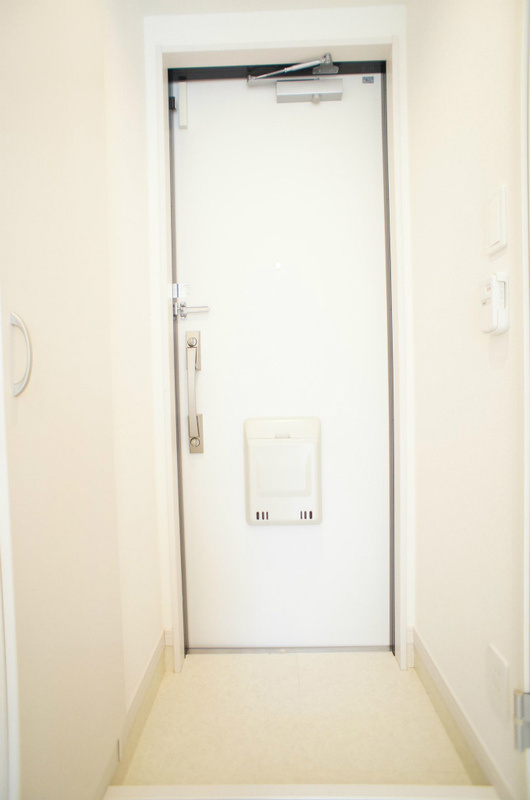 落ち着いた玄関です