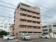 クススの画像