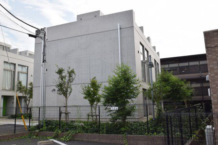 Y’s Annex